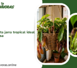 Nepenthes: la planta jarra tropical ideal para cultivar en casa