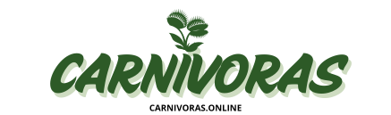 Carnívoras