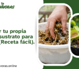 Cómo hacer tu propia mezcla de sustrato para carnívoras (Receta fácil).