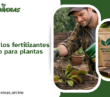 El peligro de los fertilizantes en el sustrato para plantas carnívoras