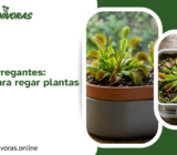 Macetas autorregantes: ¿Funcionan para regar plantas carnívoras?