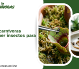 ¿Las plantas carnívoras necesitan comer insectos para sobrevivir?