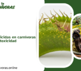 Cómo usar insecticidas en carnívoras sin causarles fitotoxicidad