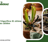 Hibernación en el frigorífico: El último recurso para climas cálidos