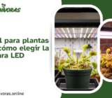 Luz artificial para plantas carnívoras: cómo elegir la mejor lámpara LED