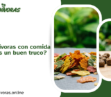 Alimentar carnívoras con comida para peces: ¿Es un buen truco?